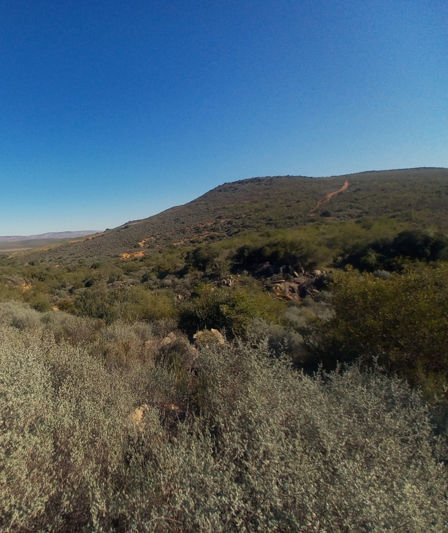 Commercial Property for Sale in George Rural Western Cape